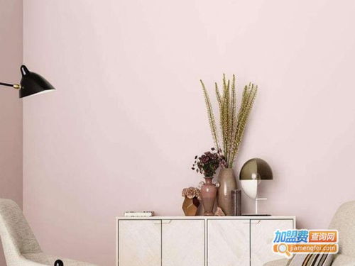 慕爵藝術(shù)涂料漆加盟 總投資15.92萬元，加盟費(fèi)查詢與企業(yè)管理咨詢?nèi)馕?></a></div>
<div   id=